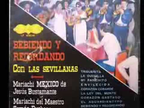 no te obligo a que me quieras