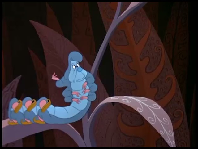 oruga de alicia en el pais de las maravillas