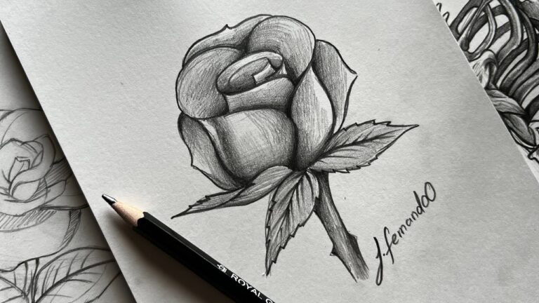pasos para dibujar una rosa a lapiz