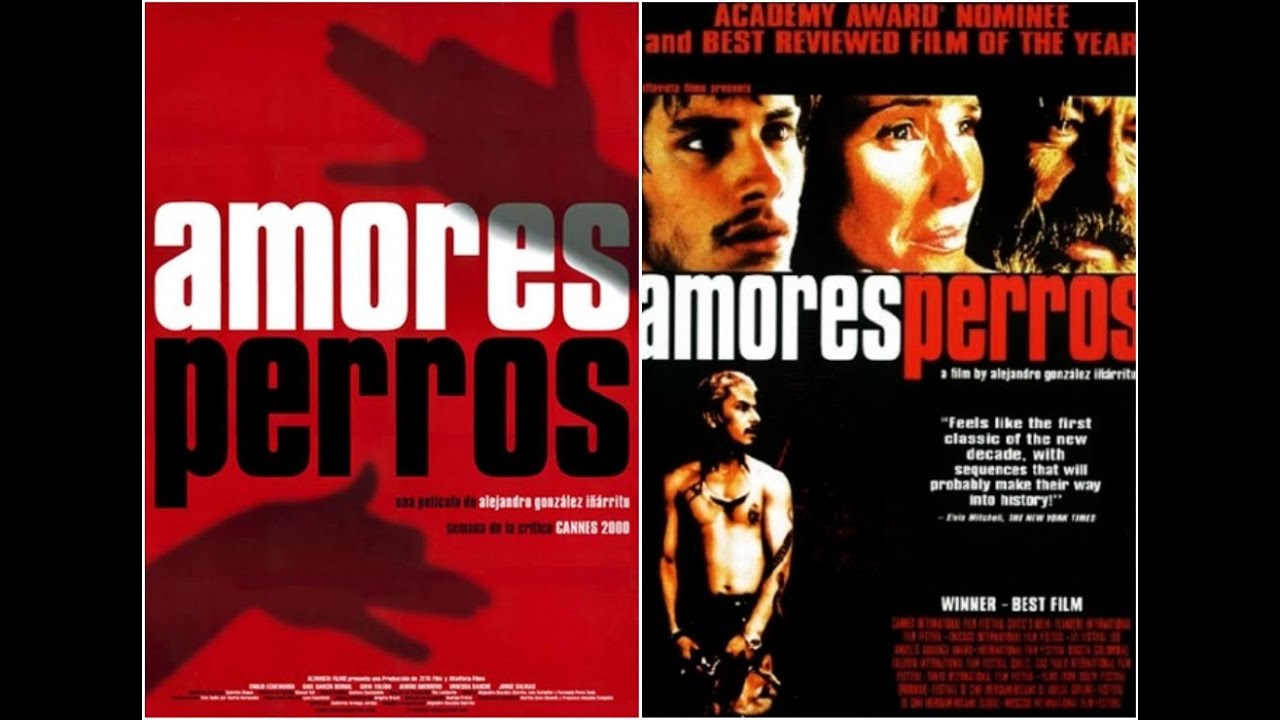 pelicula completa de amores perros en español gratis