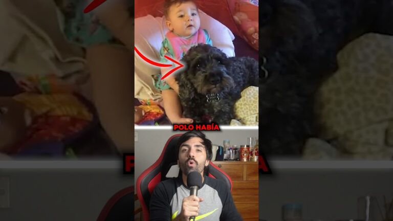 perro salva la vida a un bebe