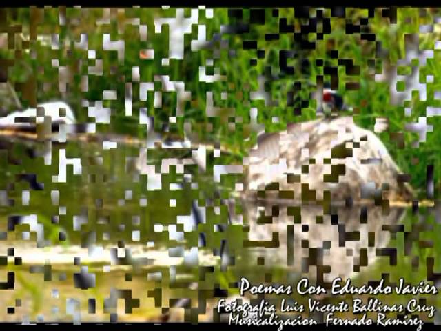 poema besame con el beso de tu boca