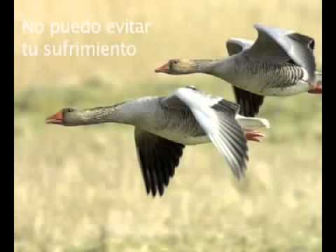 poema para mi mejor amigo que cumple años