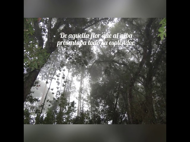 poemas contra la violencia de genero para niños