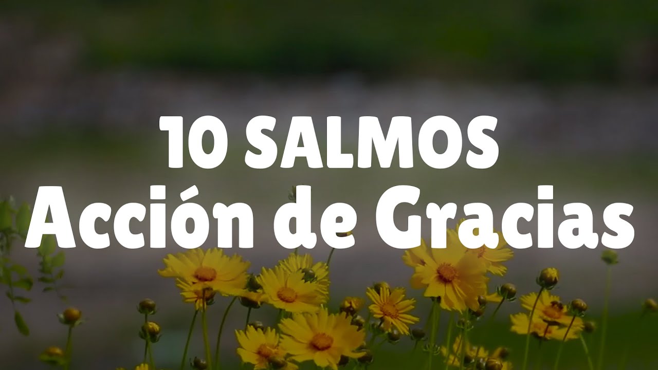 poemas de accion de gracias a dios