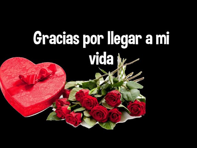 poemas de amor gracias por llegar ami vida