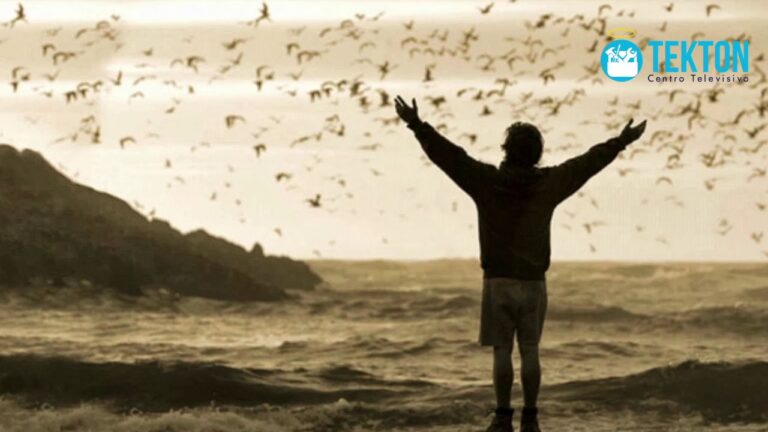 poemas de pedro calderon dela barca la vida es sueño