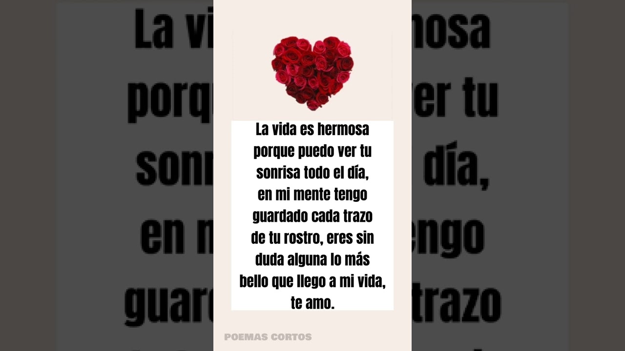 poemas para el chico que me gusta