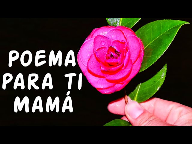 poemas para el dia de la madre