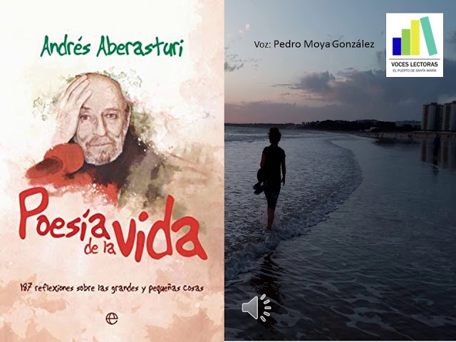 poesia de la vida de andres aberasturi
