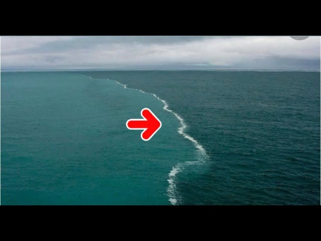 porque el atlantico y el pacifico no se mezclan