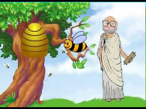 primer capitulo del libro etica para amador