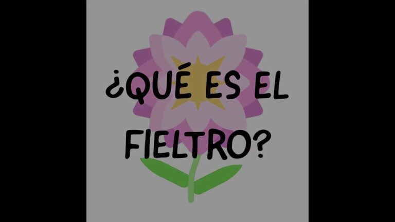 que es el fieltro y para que sirve