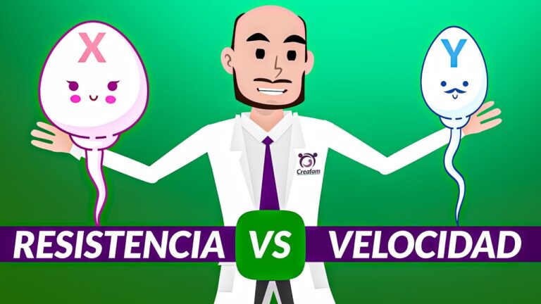 que hay que hacer para tener un hijo