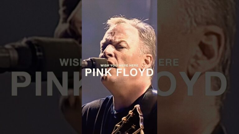 que quiere decir wish you were here