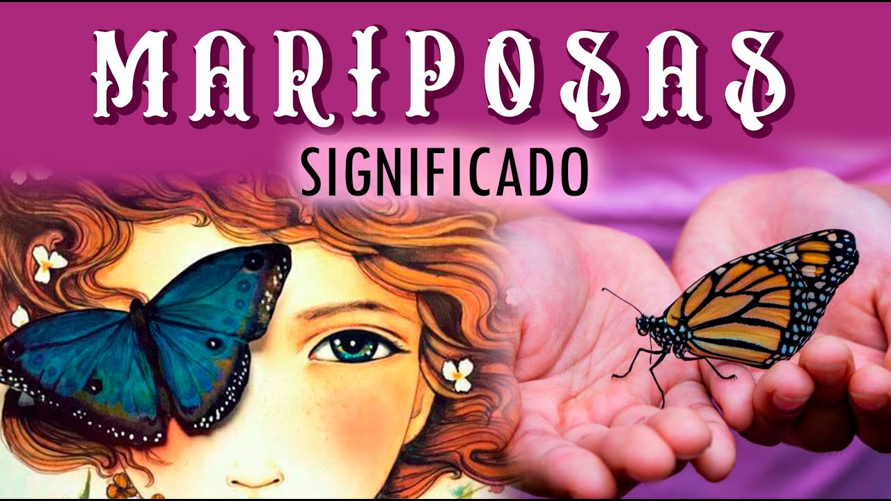 que significa ver mariposas todos los dias