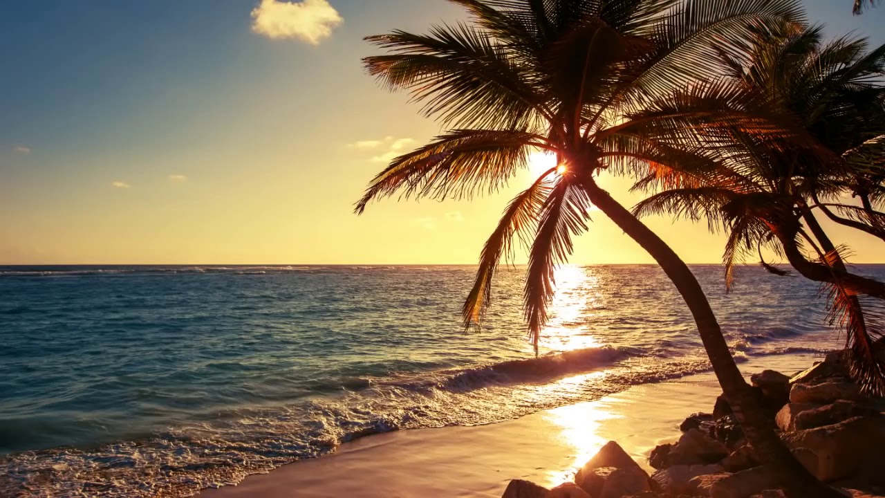 relajacion del mar relajacion mental olas del mar