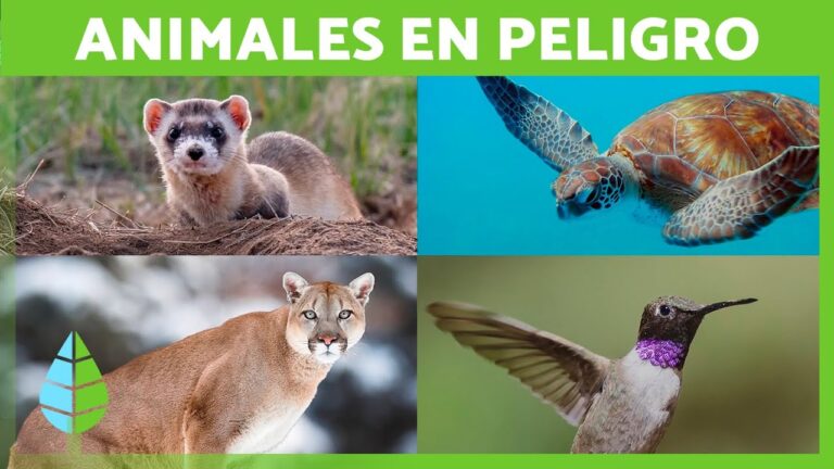 reportaje sobre los animales en peligro de extincion