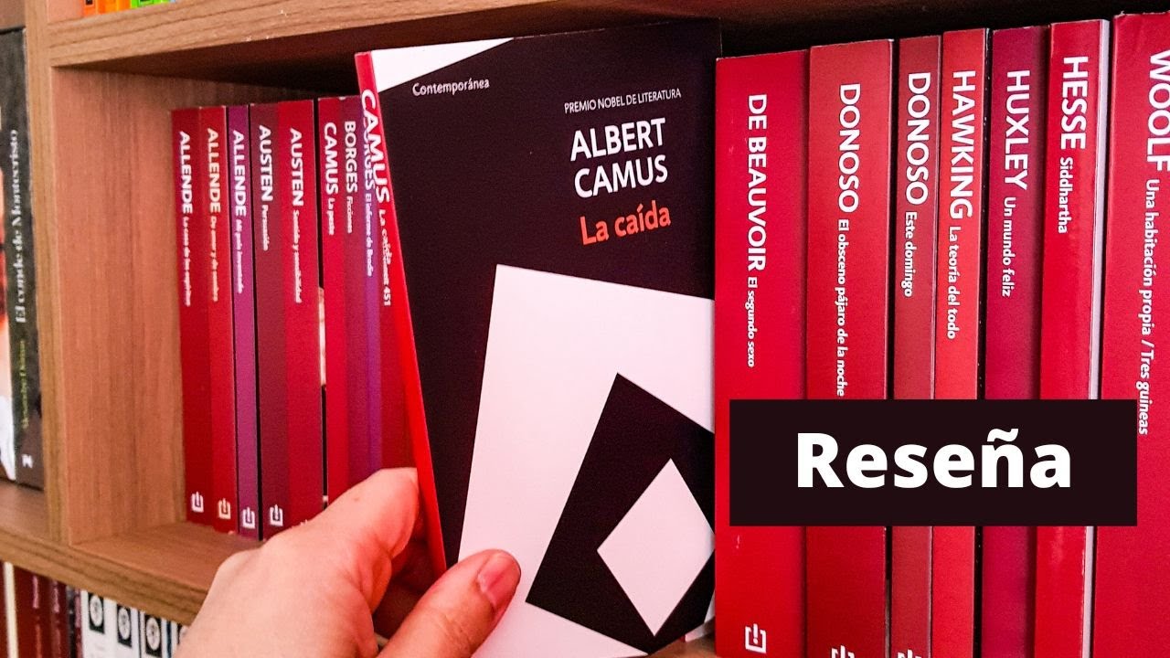 resumen de la caida de albert camus