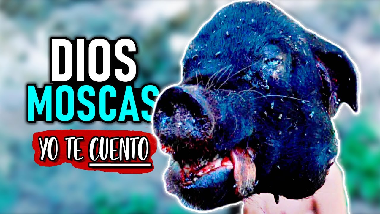 resumen de la pelicula el hombre de las moscas