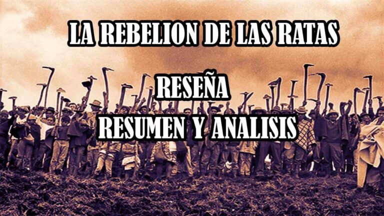 resumen de la rebelion de las ratas