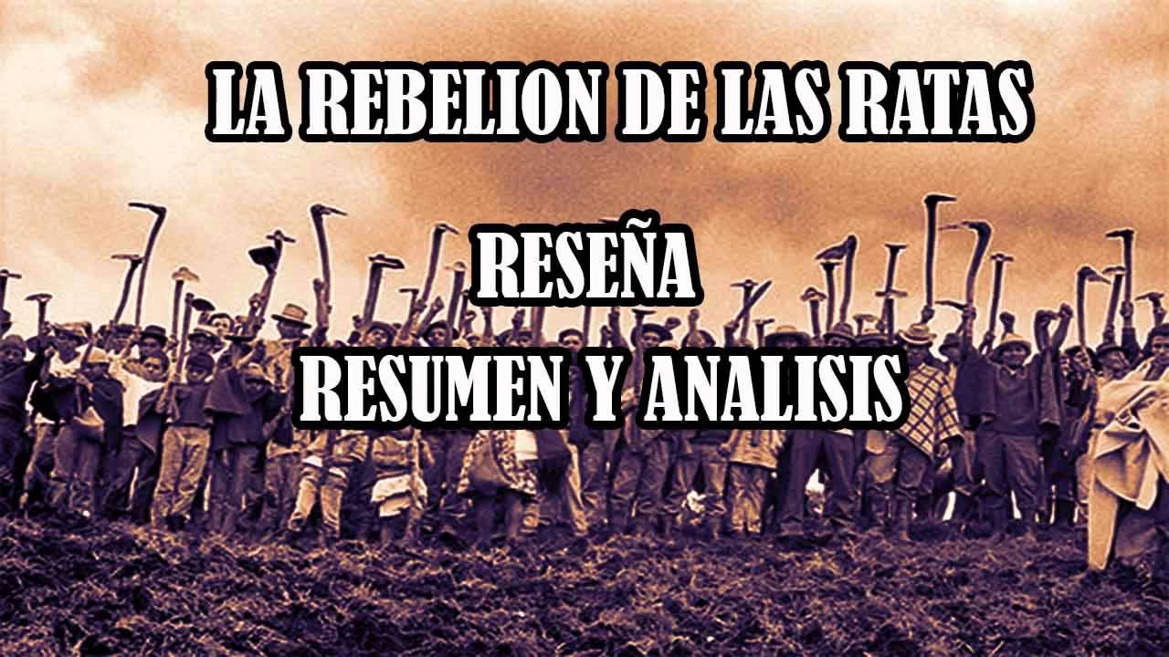 resumen de la rebelion de las ratas