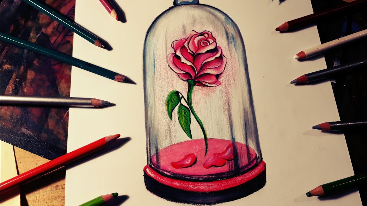 rosa de la bella y la bestia dibujo