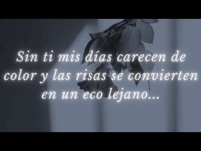 sin ti mi vida no tiene sentido poema