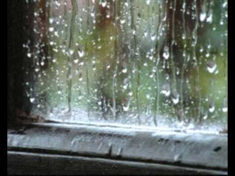 te he dicho alguna vez que te quiero