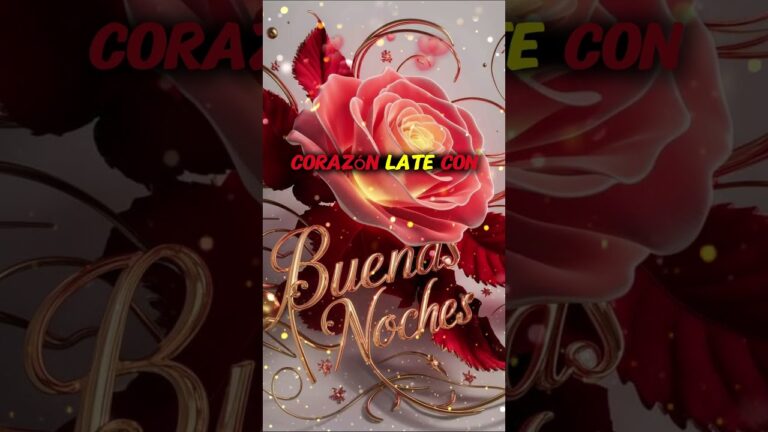 textos bonitos de amor largos para mi novio