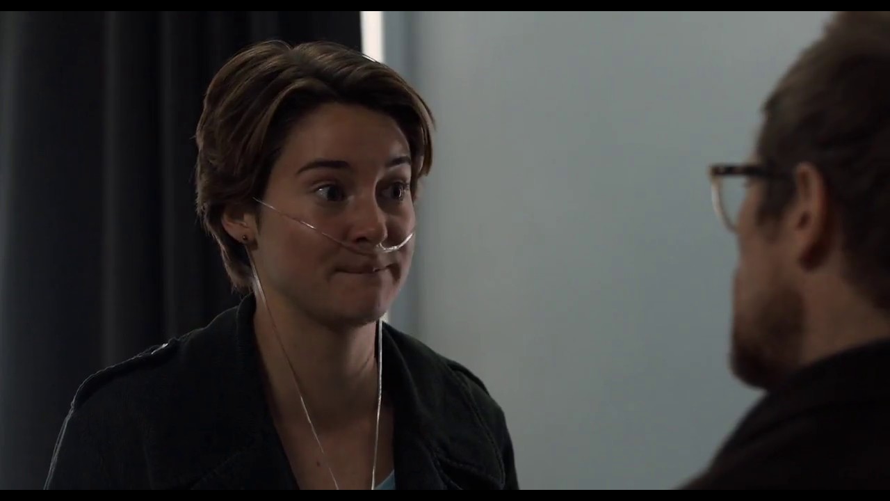 the fault in our stars peter van houten