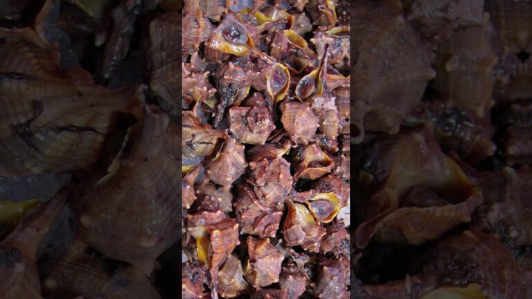 tinta roja con que escribían sólo los emperadores