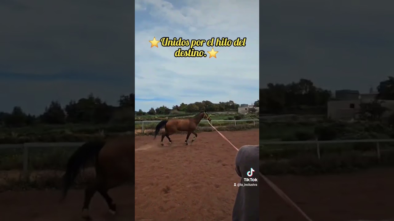 un hilo rojo invisible conecta a aquellos destinados a encontrarse