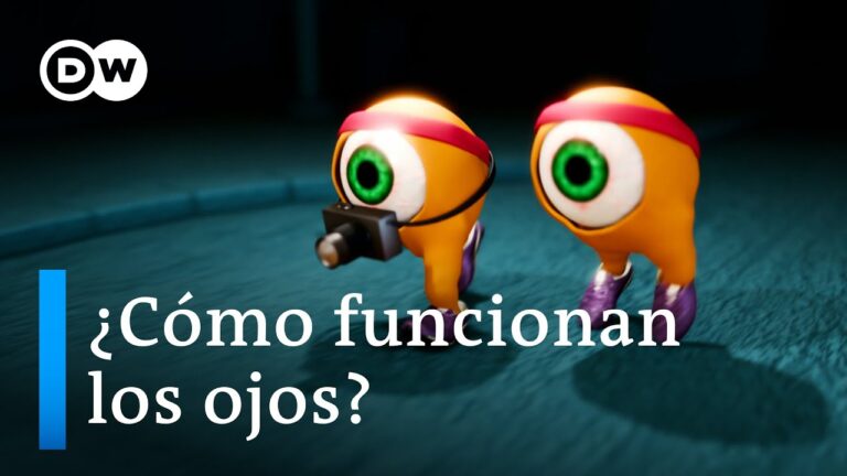 visión en la que intervienen los dos ojos