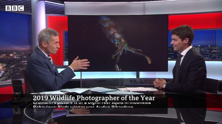 wildlife photographer of the year 2019 madrid
